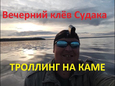 Видео: Вечерний клев Судака Троллинг на Каме