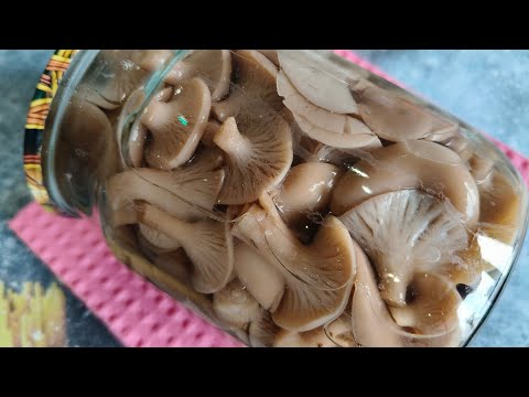 Видео: Мариновані говорушки | Простий рецепт смачних грибів” 🍄‍🟫🍄‍🟫