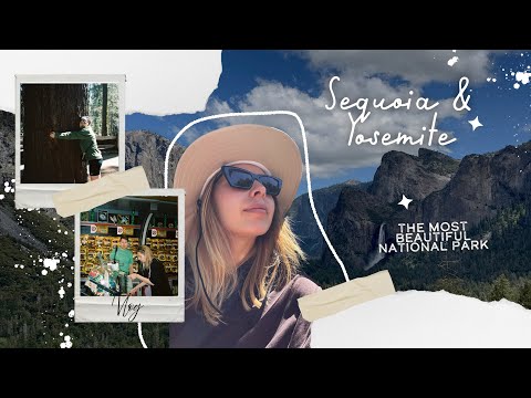 Видео: ВЛОГ | Секвойя, Йосемити парк. Составляем рейтинг американского фастфуда.