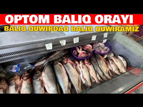 Видео: ОПТОМ БАЛЫК ОРАЙЫ БАЛЫК КУУЫРАМЫЗ ХАММЕ БАЛЫК БАР
