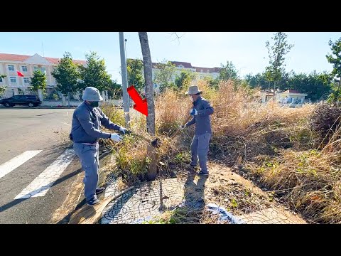 Видео: Смотритель зданий был ШОКИРОВАН, увидев, как я пришел и бесплатно убрал тротуар.