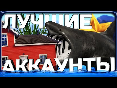 Видео: ЛУЧШИЕ ИГРОКИ В РР4 С НЕВЕРОЯТНЫМИ ТРОФЕЯМИ!