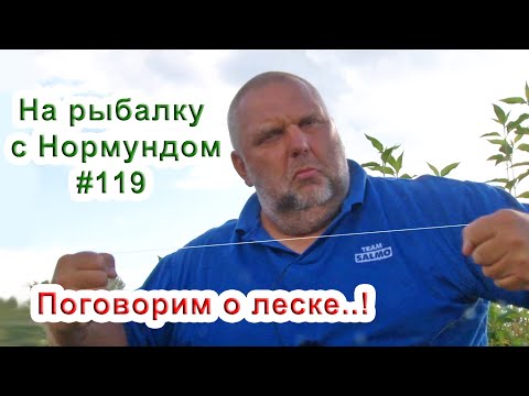 Видео: Поговорим о леске для поплавка / На рыбалку с Нормундом #119