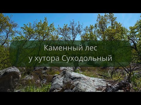 Видео: Каменный лес у хутора Суходольный (29.04.2025)