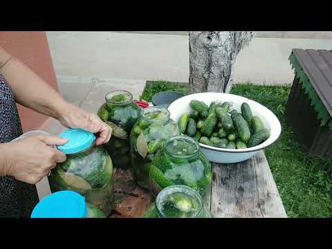 Видео: Квашу дуже добрі на смак огірки.
