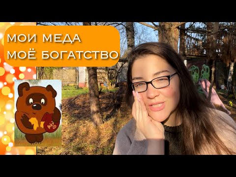 Видео: парфюм для Винни-Пуха: 5 медовых ароматов