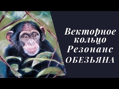 Видео: Векторное кольцо. Резонанс. Обезьяна.