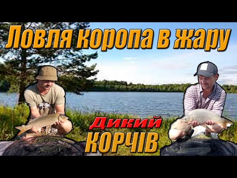 Видео: ЛОВИМ КОРОПА В ЖАРУ.Нарешті розмочив КОРЧІВ.