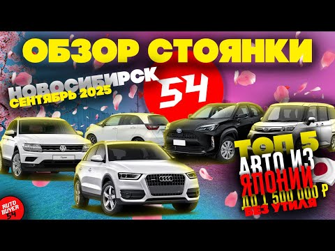 Видео: ОБЗОР СТОЯНКИ - ТОП 5 АВТО ДО 1,5 МИЛЛИОНОВ ИЗ ЯПОНИИ ДО 160 ЛОШАДИНЫХ СИЛ ПОД ЛЬГОТНЫЙ УТИЛЬ СБОР!