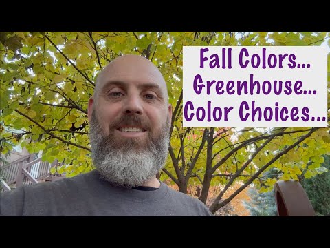 Видео: Осенние цвета//Теплица//Выбор цвета
