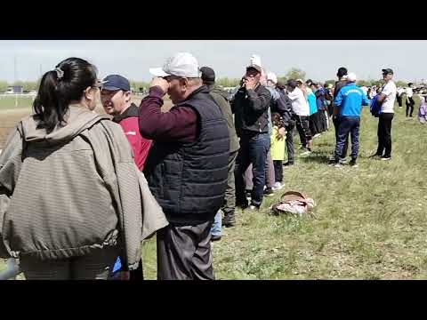 Видео: Аламан Бәйге Екібастұз қаласында,Скачки Аламан город Экибастуз #байге #horse #скачки #жылқы