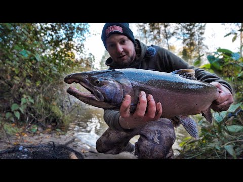 Видео: Твичинговые приманки для ловли кижуча в быстрой воде