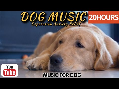 Видео: 20 часов любимой музыки собак🐶💖Музыка для сна собак 🐶🎵 Музыка для снятия беспокойства при разлуке🎵