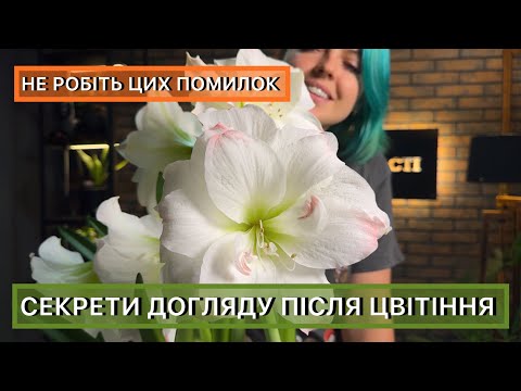 Видео: Як доглядати за гіпеаструмом та амарилісом після цвітіння, щоб вони квітувати щороку.