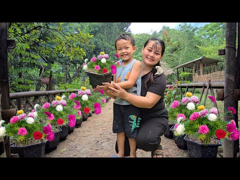 Видео: День садоводства, полный улыбок, для Ку Бона и его матери – сейте цветы, пожинайте счастье!