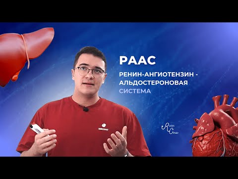 Видео: РЕНИН - АНГИОТЕНЗИН - АЛЬДОСТЕРОНОВАЯ СИСТЕМА