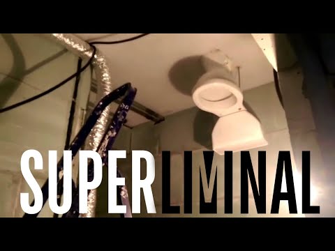 Видео: Dawg, Poot, Onisama - Superliminal, мемы, анекдоты (Нарезка стрима) | 10.02.21