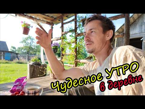 Видео: Утро в деревне // Обливаюсь вместе с котом // Утренняя дойка // Принимаем вопросы // Семья Лях