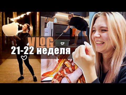 Видео: БЕРЕМЕННЫЕ БУДНИ | Семейная бытовуха?  Уборка дома, моя профессия кинолога, анализы
