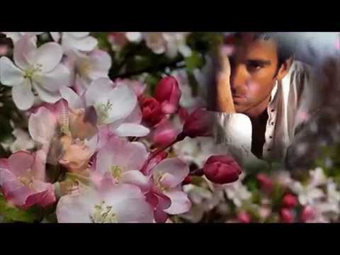 Видео: Мне бы губы твои целовать Игорь Наджиев  2016