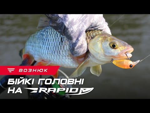 Видео: Ловля головня на Favorite Rapid | Осіння риболовля на Південному Бузі