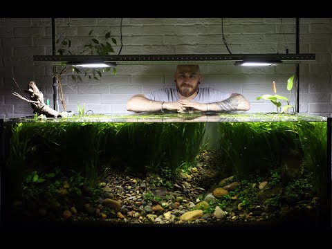 Видео: История одного домашнего аквариума (в фотографиях)