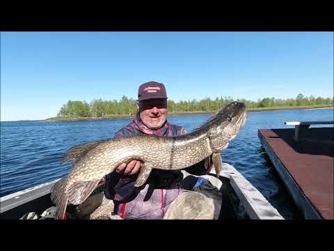 Видео: Простой и эффективный способ заброса резины и других Биг Бейтов.