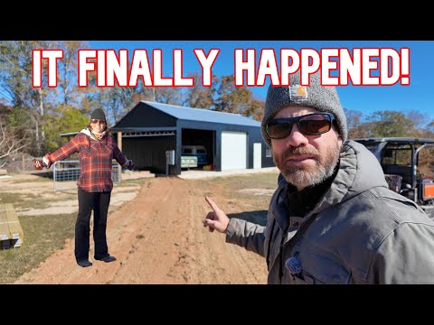 Видео: Одна простая вещь запустила эффект домино на ферме