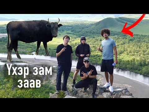 Видео: Франц найз ирээд хөдөө явтал ... 😵