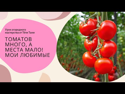 Видео: 751. Томатов много, а места мало! Мои любимые.