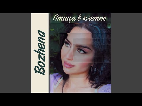 Видео: Птица в клетке