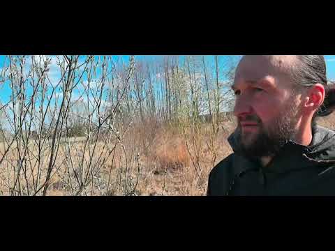 Видео: Самая экстремально сухая весна, солнечный мороз и ветер, цветение ивы и тополя.