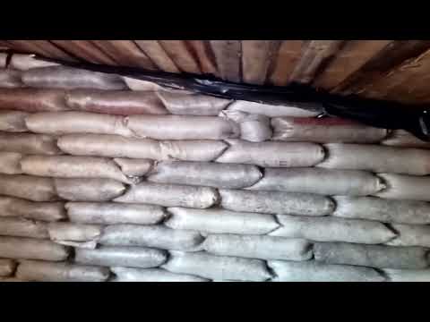 Видео: Сарай из мешков. Весна 2023