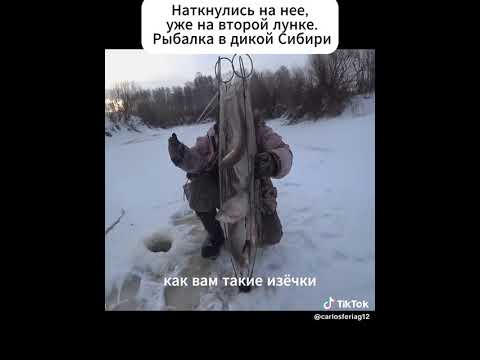 Видео: 13 сентября 2025 г.