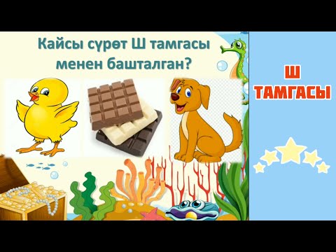 Видео: Ш  тамгасы жана тыбышы | Сабат ачуу | Онлайн сабак | Даярдоо классы
