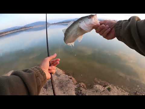 Видео: Ловля БАССА в Испании ВЕСНОЙ. Embalse de Bellús.