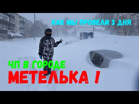 Видео: Супер метель на Сахалине | Голуби страдают, люди копают