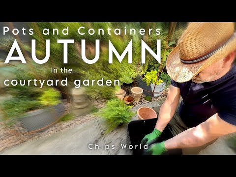 Видео: Горшки и пересадка: Осеннее садоводство в контейнерах: #autumngarden