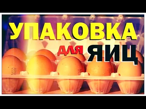 Видео: Галилео. Упаковка для яиц