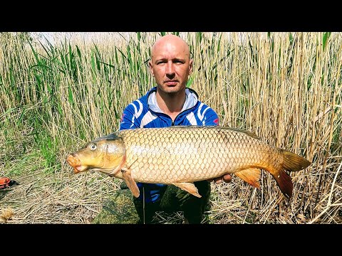 Видео: Рыбалка на паук с подводной камерой в болоте. Рыбалка на паук 2022. Рыбалка с лодки. Рыбалка 2022.