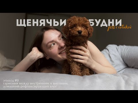 Видео: Уютный день с собакой- уход за собой и гармония внешнего и внутреннего 💛✨