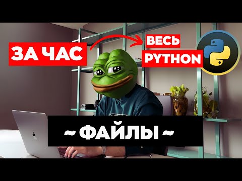 Видео: #4 ПАЙТОН для ЕГЭ по Информатике | Файлы