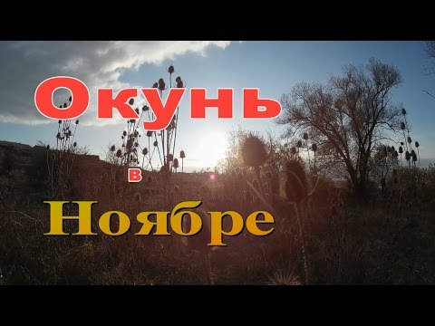 Видео: Рыбалка. Окунь в ноябре. Микороджиг.