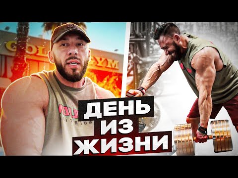 Видео: МОЯ ЖИЗНЬ В ЛА. Мокшин Спортфаза 2023