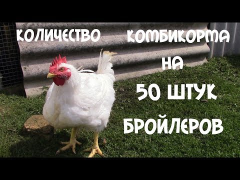 Видео: Сколько надо комбикорма на 50 бройлеров