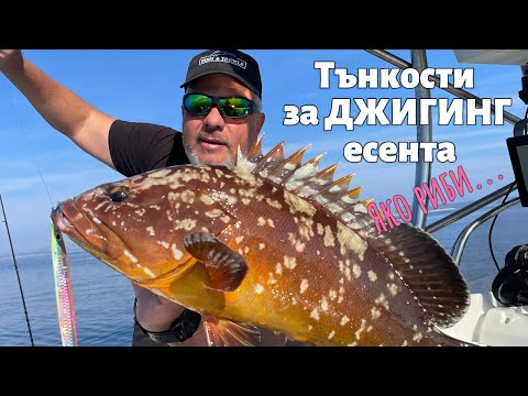 Видео: Тънкости на есенния джиг  - 5 част / Ловим яко синагриди, групери и маятико...