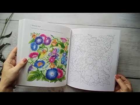 Видео: Покупки арт материалов и раскрасок за июнь-июль.