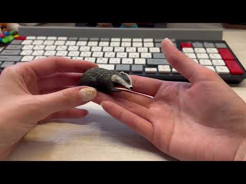 Видео: 134. Обзор фигурки collecta обыкновенный барсук (2008, арт. 88015b)