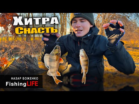 Видео: Ця ХИТРА Снасть Ловить По ДВА Окуня За Раз - Як Ловити Окуня Взимку?