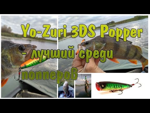 Видео: Yo Zuri 3DS Popper - лучший среди попперов